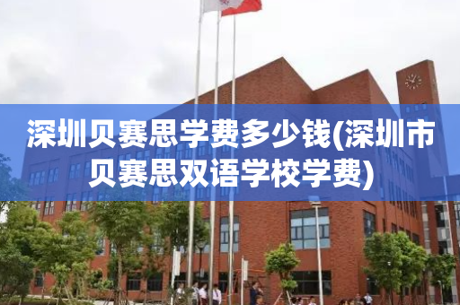 深圳贝赛思学费多少钱(深圳市贝赛思双语学校学费)