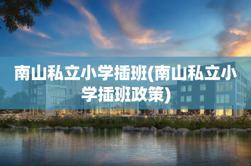 南山私立小学插班(南山私立小学插班政策)