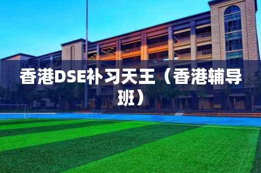 香港DSE补习天王（香港辅导班）