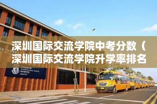 深圳国际交流学院中考分数（深圳国际交流学院升学率排名）