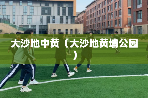 大沙地中黄（大沙地黄埔公园）