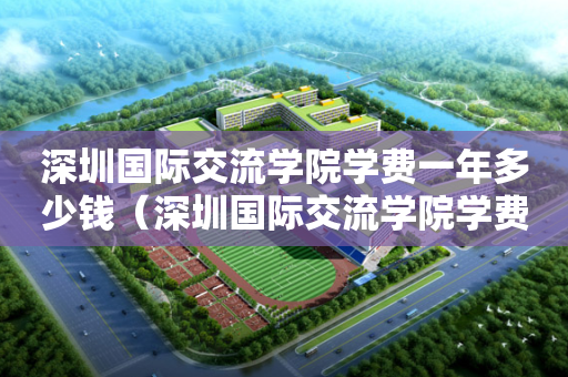 深圳国际交流学院学费一年多少钱（深圳国际交流学院学费一年多少钱）