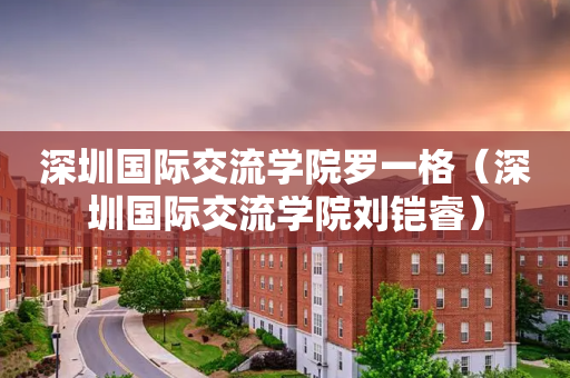 深圳国际交流学院罗一格（深圳国际交流学院刘铠睿）