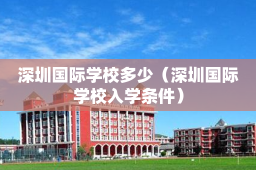 深圳国际学校多少（深圳国际学校入学条件）