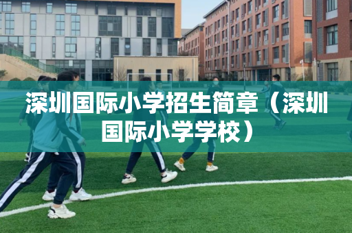 深圳国际小学招生简章（深圳国际小学学校）