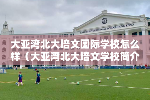 大亚湾北大培文国际学校怎么样（大亚湾北大培文学校简介）