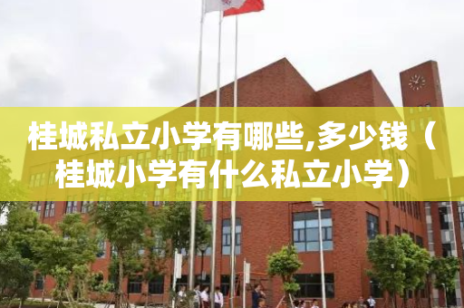 桂城私立小学有哪些,多少钱（桂城小学有什么私立小学）