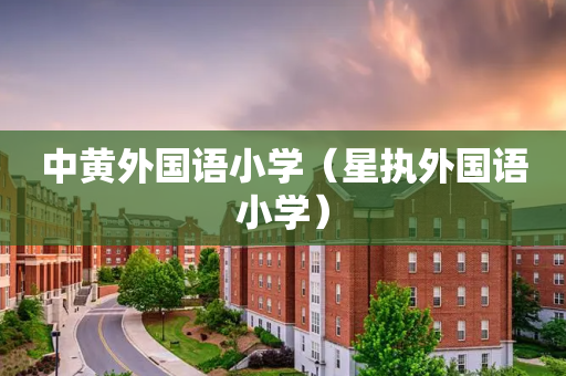 中黄外国语小学（星执外国语小学）