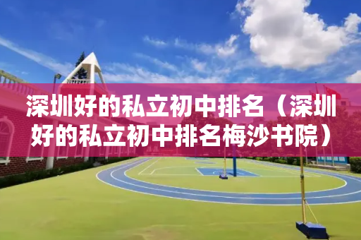 深圳好的私立初中排名（深圳好的私立初中排名梅沙书院）