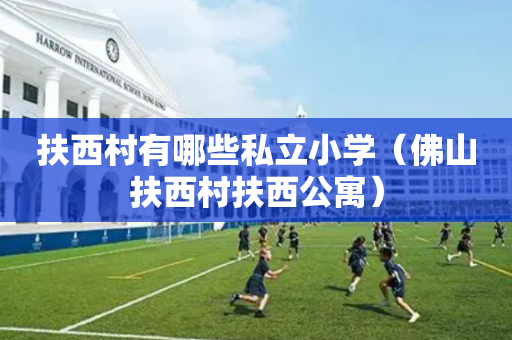 扶西村有哪些私立小学（佛山扶西村扶西公寓）