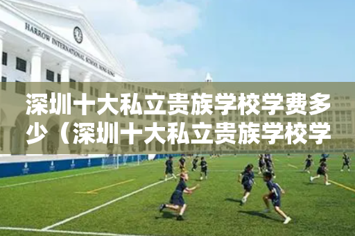 深圳十大私立贵族学校学费多少（深圳十大私立贵族学校学费多少钱）