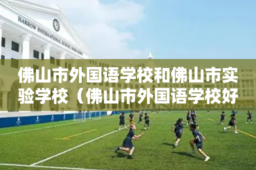 佛山市外国语学校和佛山市实验学校（佛山市外国语学校好吗）
