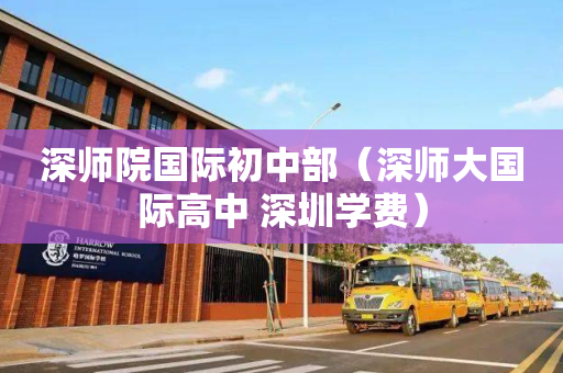 深师院国际初中部（深师大国际高中 深圳学费）