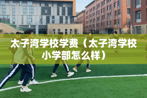 太子湾学校学费（太子湾学校小学部怎么样）