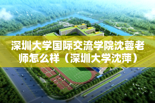 深圳大学国际交流学院沈蓉老师怎么样（深圳大学沈萍）