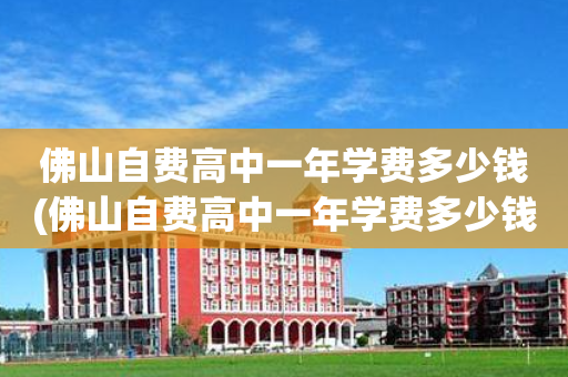 佛山自费高中一年学费多少钱(佛山自费高中一年学费多少钱啊)