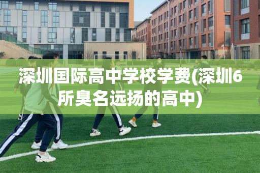 深圳国际高中学校学费(深圳6所臭名远扬的高中)