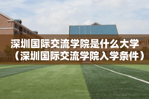 深圳国际交流学院是什么大学（深圳国际交流学院入学条件）