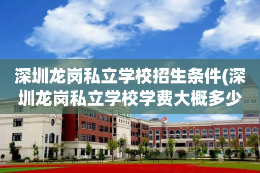 深圳龙岗私立学校招生条件(深圳龙岗私立学校学费大概多少钱?)