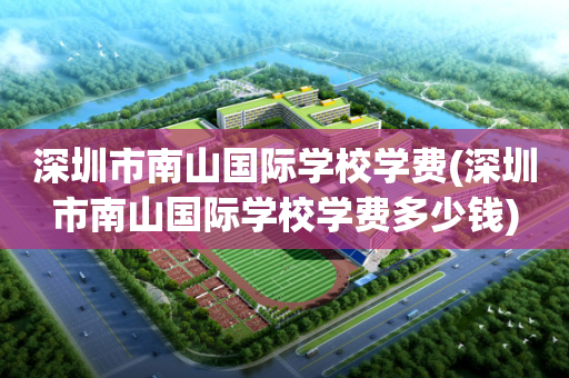 深圳市南山国际学校学费(深圳市南山国际学校学费多少钱)