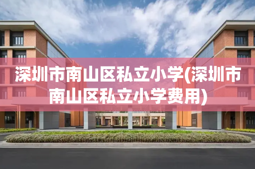 深圳市南山区私立小学(深圳市南山区私立小学费用)