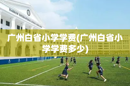 广州白省小学学费(广州白省小学学费多少)