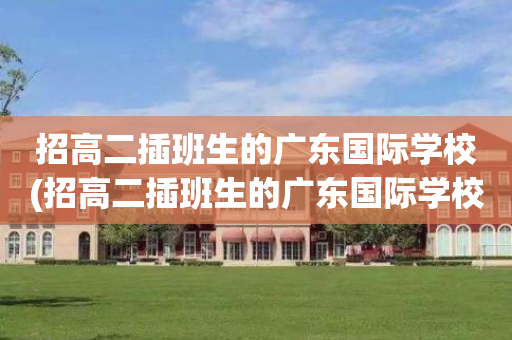 招高二插班生的广东国际学校(招高二插班生的广东国际学校有哪几所)
