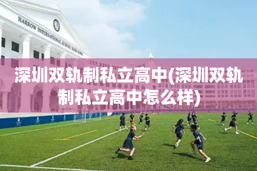 深圳双轨制私立高中(深圳双轨制私立高中怎么样)