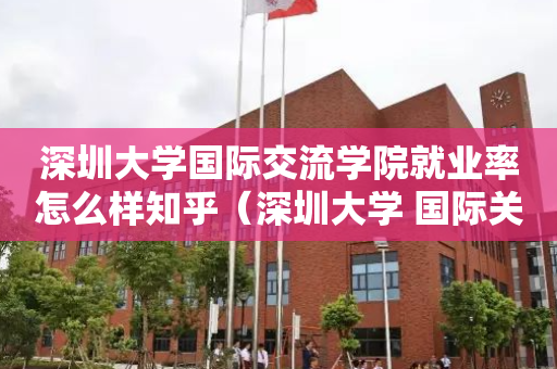 深圳大学国际交流学院就业率怎么样知乎（深圳大学 国际关系）