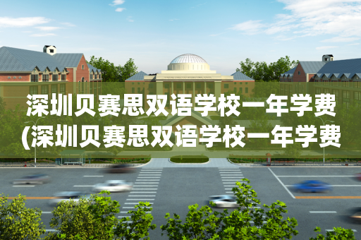深圳贝赛思双语学校一年学费(深圳贝赛思双语学校一年学费多少钱)