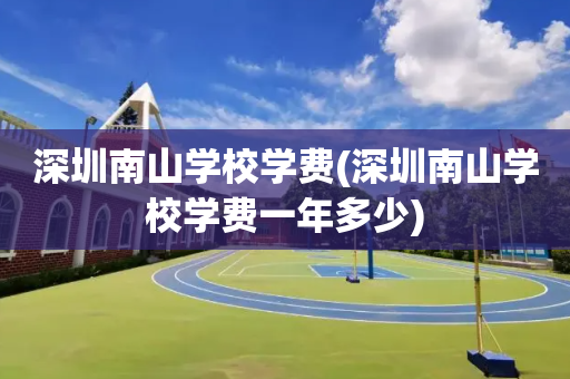 深圳南山学校学费(深圳南山学校学费一年多少)