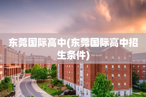东莞国际高中(东莞国际高中招生条件)