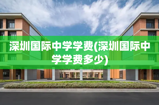 深圳国际中学学费(深圳国际中学学费多少)