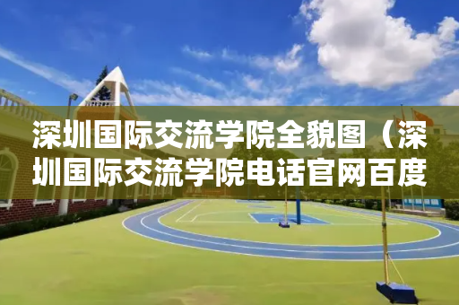 深圳国际交流学院全貌图（深圳国际交流学院电话官网百度百科）