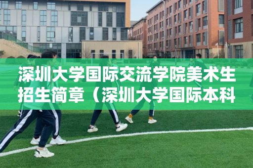 深圳大学国际交流学院美术生招生简章（深圳大学国际本科招生）
