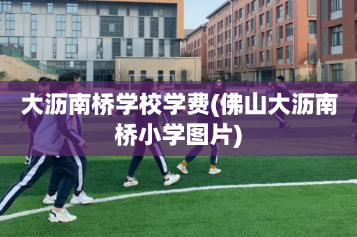 大沥南桥学校学费(佛山大沥南桥小学图片)