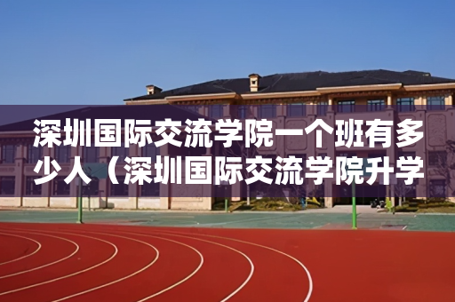 深圳国际交流学院一个班有多少人（深圳国际交流学院升学率排名）