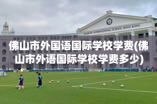 佛山市外国语国际学校学费(佛山市外语国际学校学费多少)