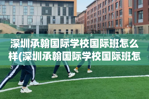 深圳承翰国际学校国际班怎么样(深圳承翰国际学校国际班怎么样啊)