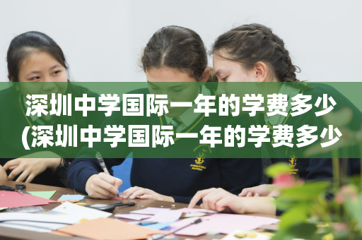 深圳中学国际一年的学费多少(深圳中学国际一年的学费多少钱)