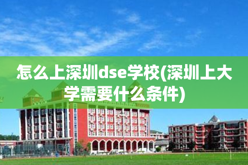 怎么上深圳dse学校(深圳上大学需要什么条件)