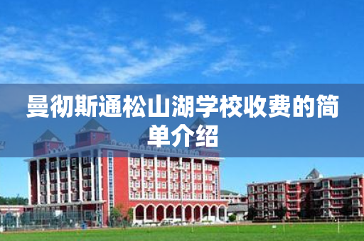 曼彻斯通松山湖学校收费的简单介绍