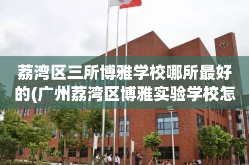 荔湾区三所博雅学校哪所最好的(广州荔湾区博雅实验学校怎么样图片)