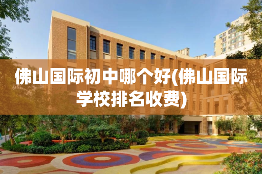 佛山国际初中哪个好(佛山国际学校排名收费)