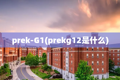 prek-G1(prekg12是什么)