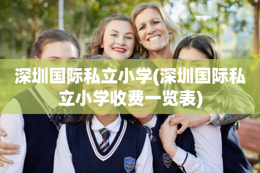 深圳国际私立小学(深圳国际私立小学收费一览表)