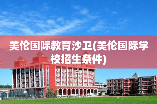美伦国际教育沙卫(美伦国际学校招生条件)
