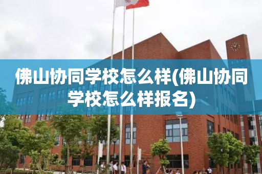 佛山协同学校怎么样(佛山协同学校怎么样报名)