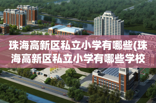 珠海高新区私立小学有哪些(珠海高新区私立小学有哪些学校)