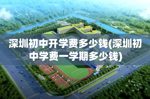 深圳初中开学费多少钱(深圳初中学费一学期多少钱)
